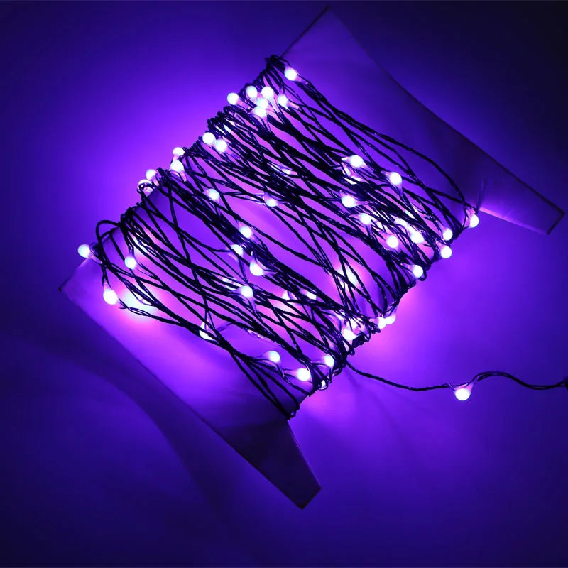 NovaBeam